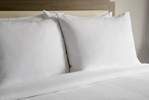 Ibis Styles Manaus Ibis Styles Manaus